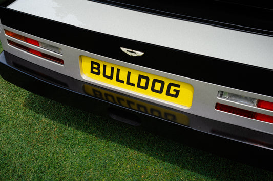 BULLDOG