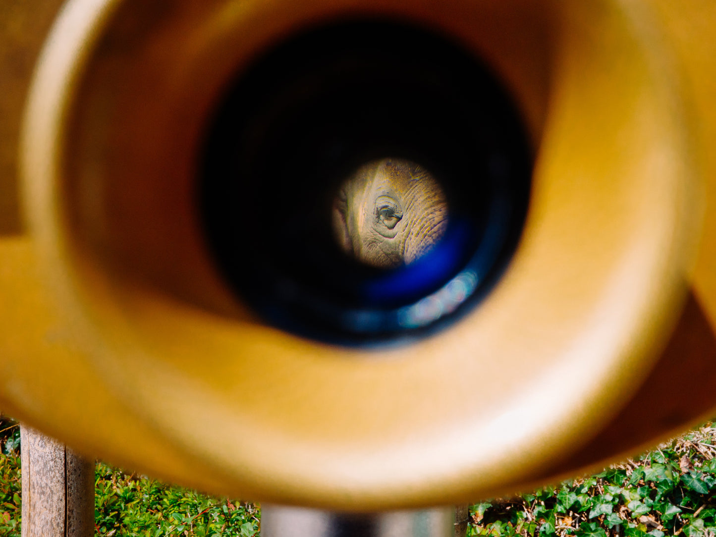 Eye To Eye