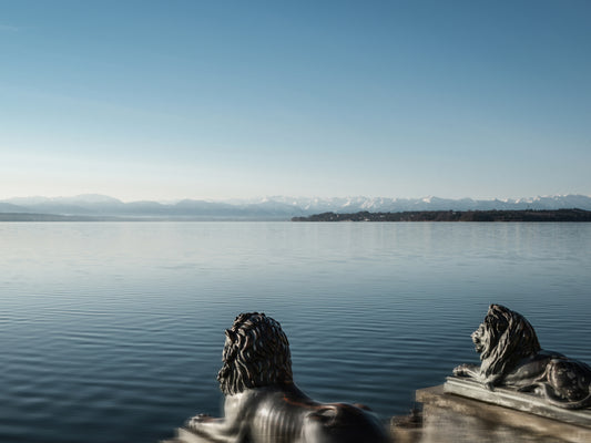 Zwei Löwen in Starnberg